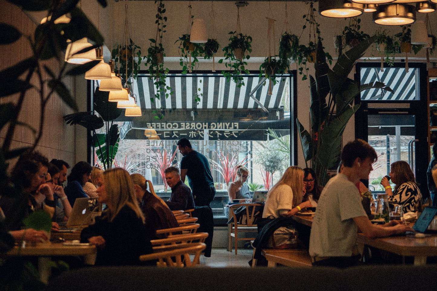 Flying Horse Coffee