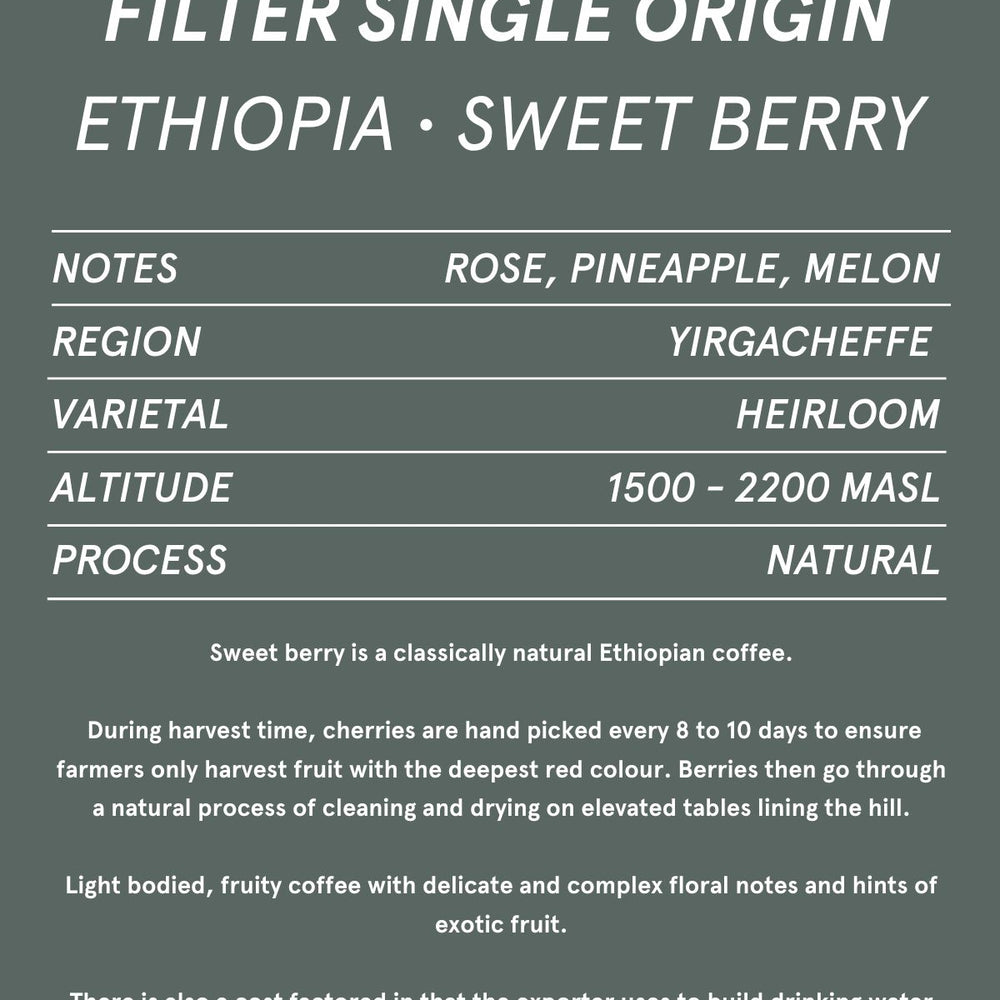 
                      
                        FILTER - SINGLE ORIGIN
                      
                    