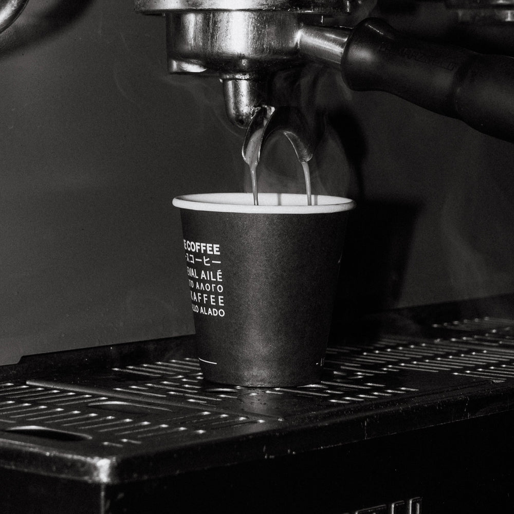 Flying Horse Coffee