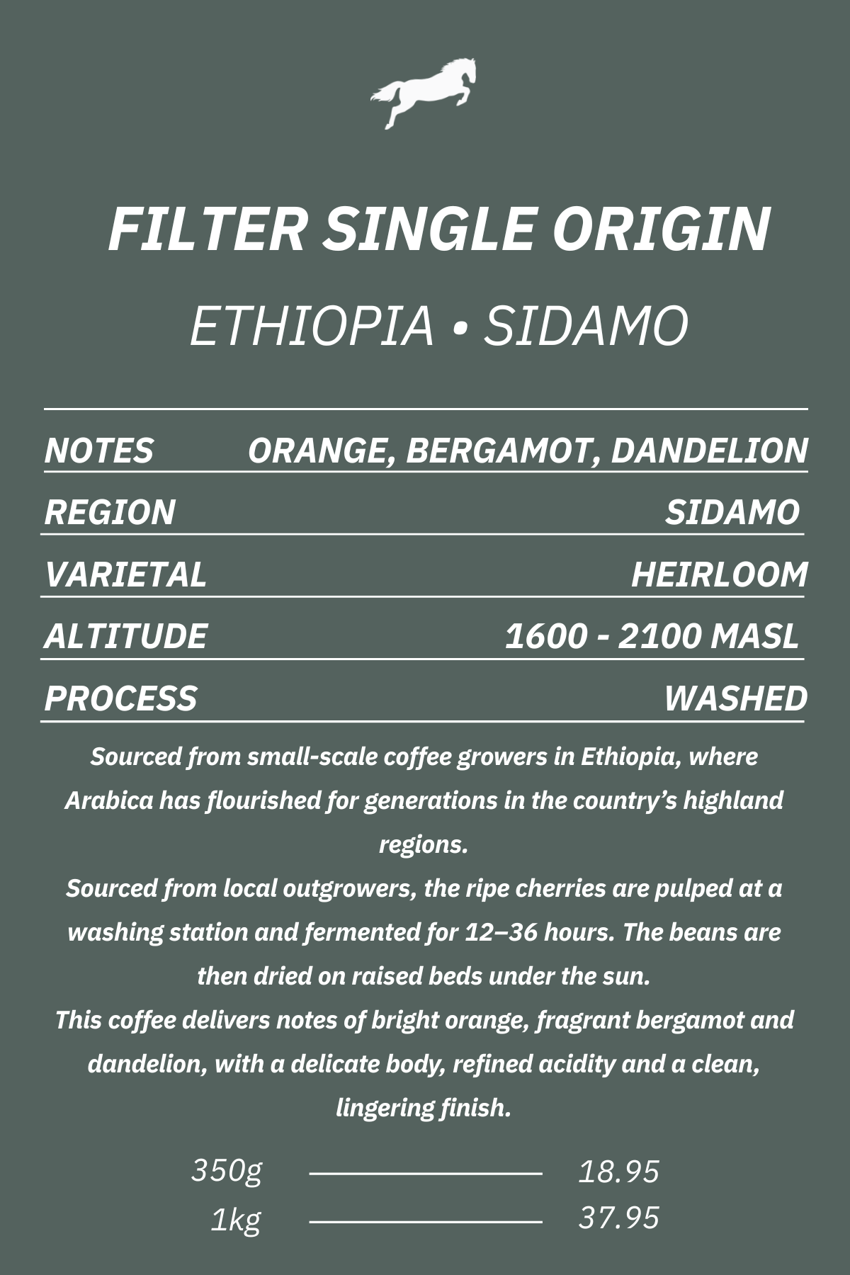 FILTER - SINGLE ORIGIN