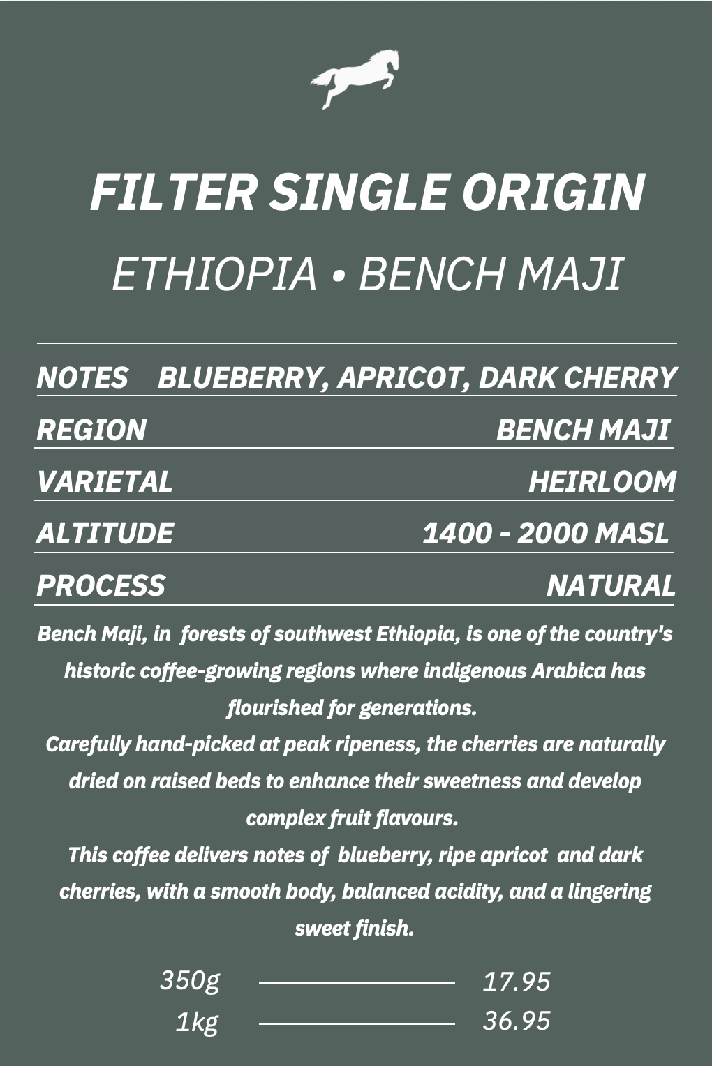 FILTER - SINGLE ORIGIN